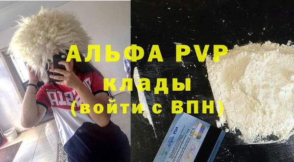 a pvp Каменногорск