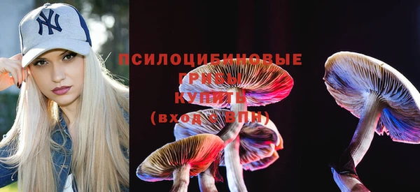 a pvp Каменногорск
