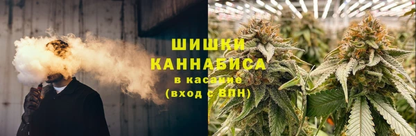 a pvp Каменногорск